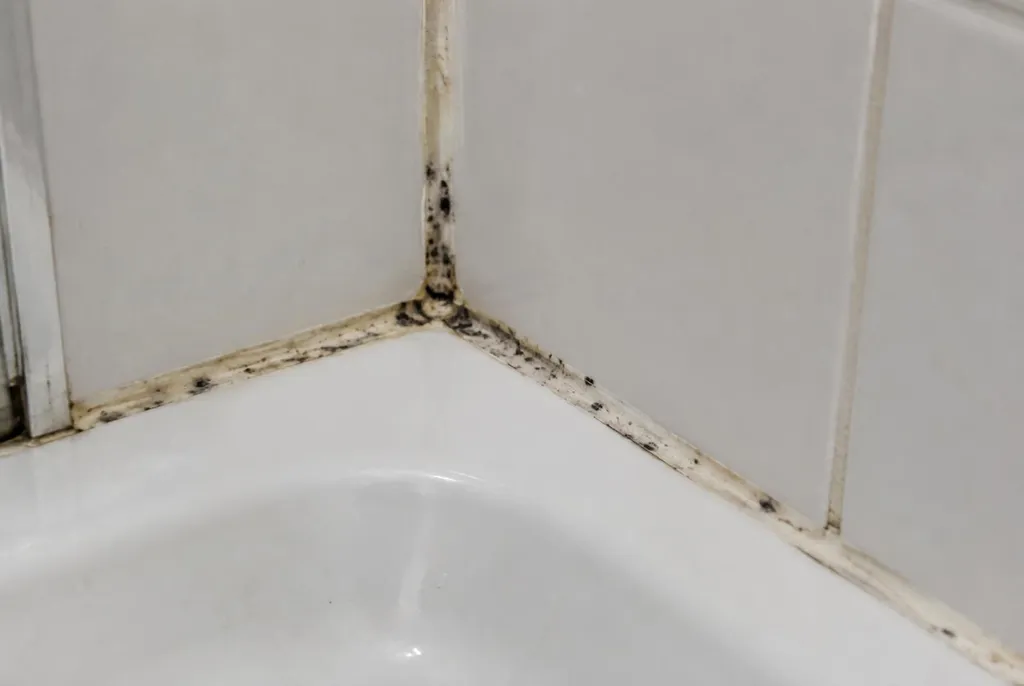 Kitbedrijf Apeldoorn – mouldy sealant